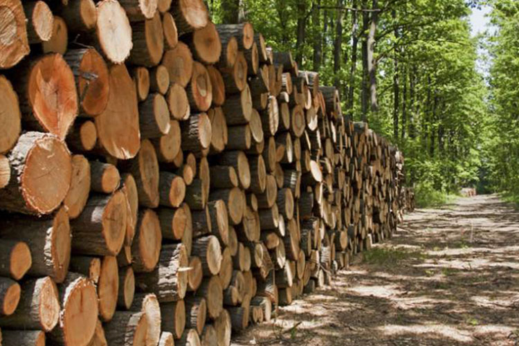 Logging Equipment